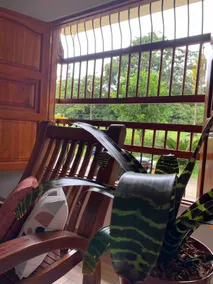 Green view - Image 3