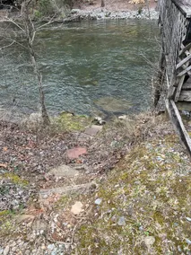Old Iron Bridge Cabin on the Toccoa River - Image 4