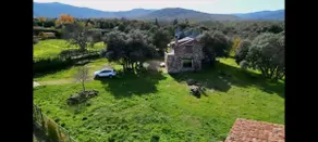 Las Encinas - Image 4