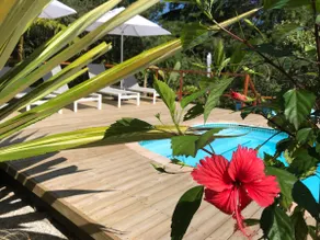 @Armadillo Guesthouse 3 - Image 2