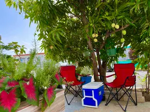Apartment Near the Aiport! Beautiful and Comfy! - Image 4