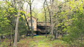 Sally's Sanctuary - Image 2