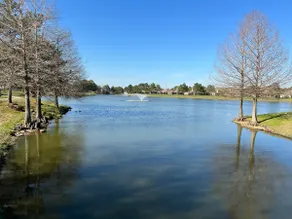 Not So Basic N' Cypress, TX! - Image 5