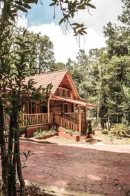 Rustic Cabin on a Ranch - Image 2