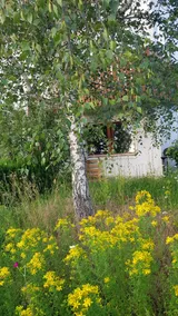 Self-contained apartment in the countryside - Image 3
