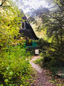 Villa Pimpelmees - Sunclass 54 - Image 3