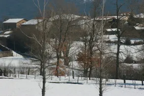 Casa Guareña - Image 4
