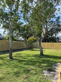 Palm Tree Haven - Image 5