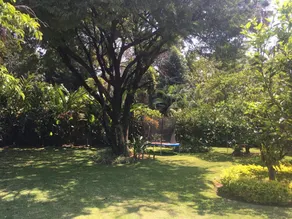 Private pool and accommodation - Casa Rochis - Image 3