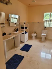 Royal Palms Villa/Retreat - Image 3