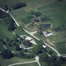 The Bungalow at Brianza Winery - Image 5