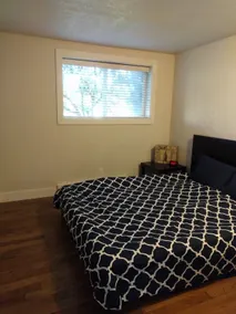 Modern Downtown Kirkland 1BR/1BA Apartment - Image 5