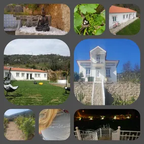 Villa Alzira - Image 2