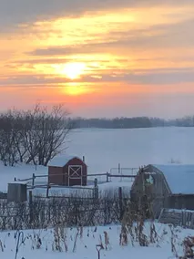 Milk and Honey Acres - A Family Country Haven - Image 2