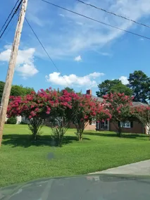 Peaceful home in Murfreesboro NC - Image 5