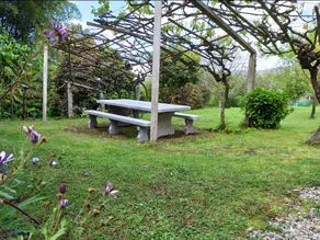A Viña de Lina. Turismo rural con piscina y finca. - Image 5
