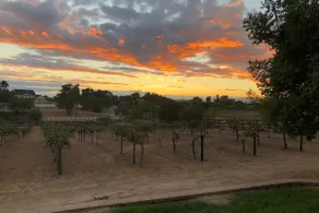Temecula Wine Country Home on 5 Acre Vineyard - Image 5