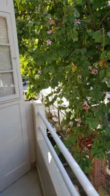 Comfortable Apartment in Botafogo 5 minutes from the subway - Image 5