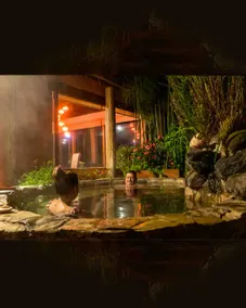 Cachafaz de Alanga: water and garden in Los Chillos - Image 4