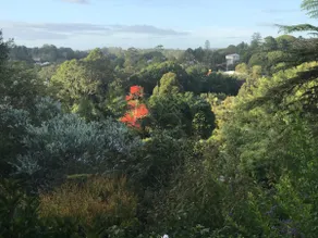 ‘Wattle House’ in the Heart of Maleny - Image 3