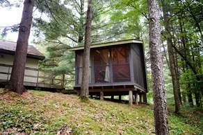 Tranquil cottage getaway overlooking Seaton Creek! - Image 3