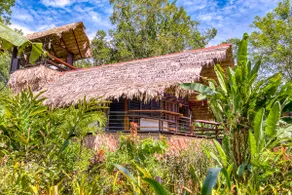 Sloth House /PooL-Jacuzzi BeacH-BirdwatchinG HaveN - Image 3
