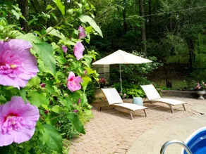 *Forest Retreat* Rustic Luxury near Bear Mt Hiking - Image 4