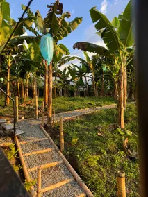 Glamping2 Las Margaritas, Calarca - Image 4