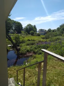 Sandy Point Brook side Coastal Cottage- Easy Shores                  - Image 3