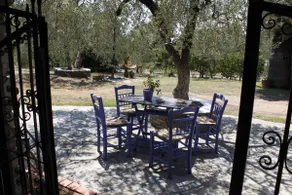 House in an olive grove, near the sea - Image 3