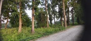 A Terrasse Retreat Siliguri - Image 4