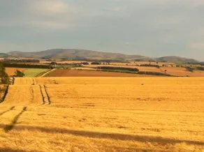 Bartlehill, dejligt kæledyrsvenligt sommerhus i de smukke skotske grænser - Image 2