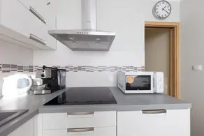Large apartment Jablon, 3 bedrooms PVA EXPO Prague - Image 4