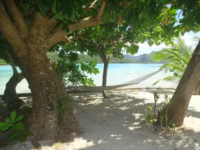 MOTU LODGE HOUSE - Image 5