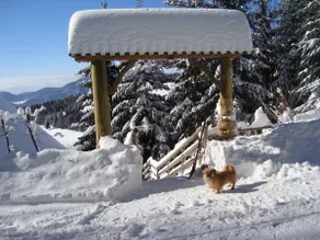 Charming Chalet Rogla - Image 4