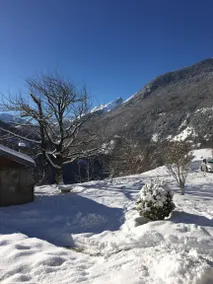 Close to 3 valleys, Moutiers, Brides. Skiing, biking - Image 5