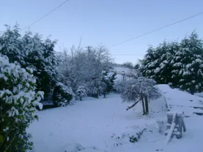Frankie's Cottage Carrauntoohill and Ring of Kerry - Image 3