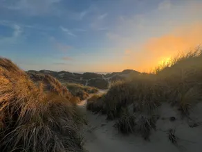 Coastal Bliss, Sunset Balcony, Heceta Beach Trail - Image 2