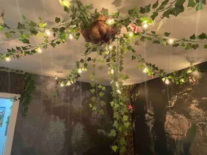 Home of the Elves - Image 3