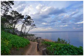 Oceanfront La Jolla Cove Studio-2025 Remodeled - Image 3