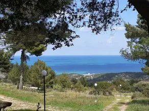 Room with sea view - Image 5