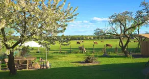 Vacation home Alte Schule Chorin / Schorfheide - Image 2