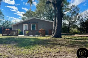 The Lake Alfred Citrus Wood Guest Cabin - Image 5
