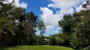 Charming Rainforest Cottage - Image 3