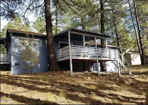 The Shonto🌲 Cabin - Image 2
