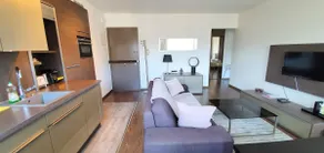 Modern apartment 100m from the lake - Image 3