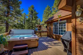 \"The Lodge\" At Pagosa's Dutton Canyon/Hot Tub/Gas FP Stove/Pool Table/Pets - Image 4