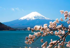Erable Mt.Fuzi ”Zen”. Free bicycle rental ! - Image 2