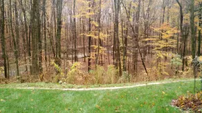 Retreat in the woods. Mt Gilead Ohio - Image 5