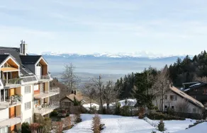 Truly Amazing Geneva lake and Alps Mountain view - Image 4